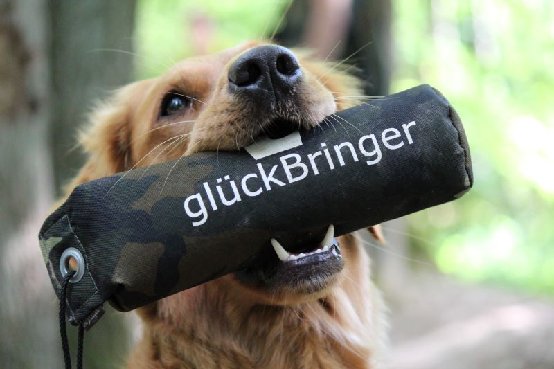 Glueckbringer Wiesbaden