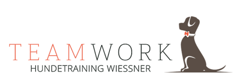 Teamwork Augsburg