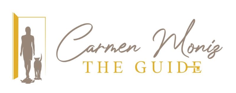The Guide