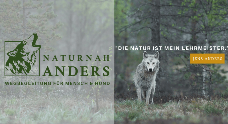 Hundetrainingszentrum Halle