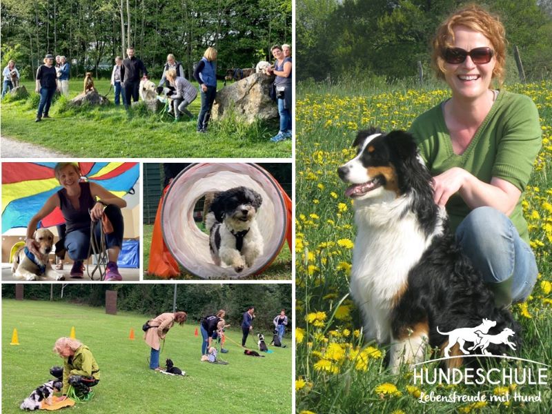 Hundeschule Pamlhoff