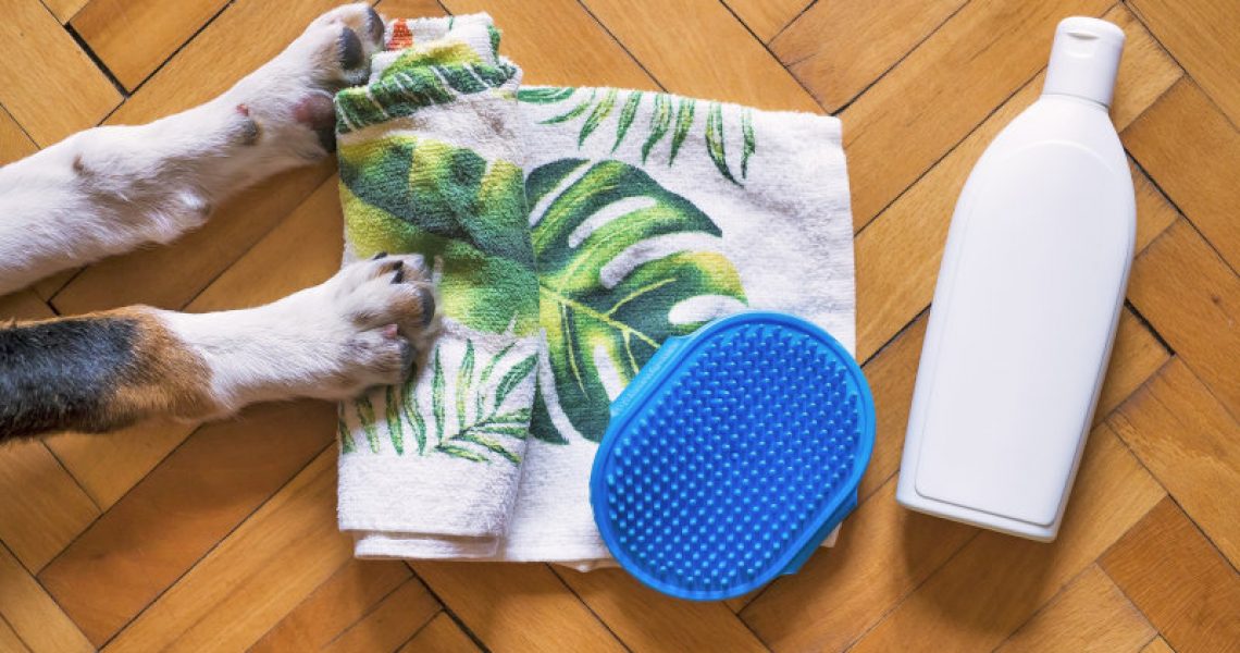 Fellpflege für Hunde