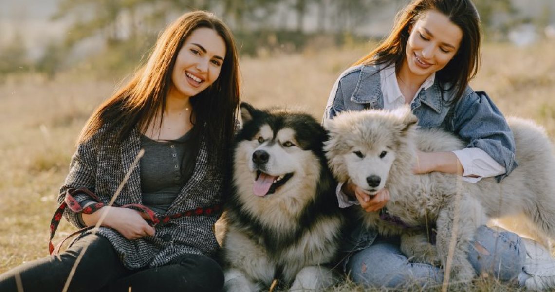 Der passende Hund zum Besitzer