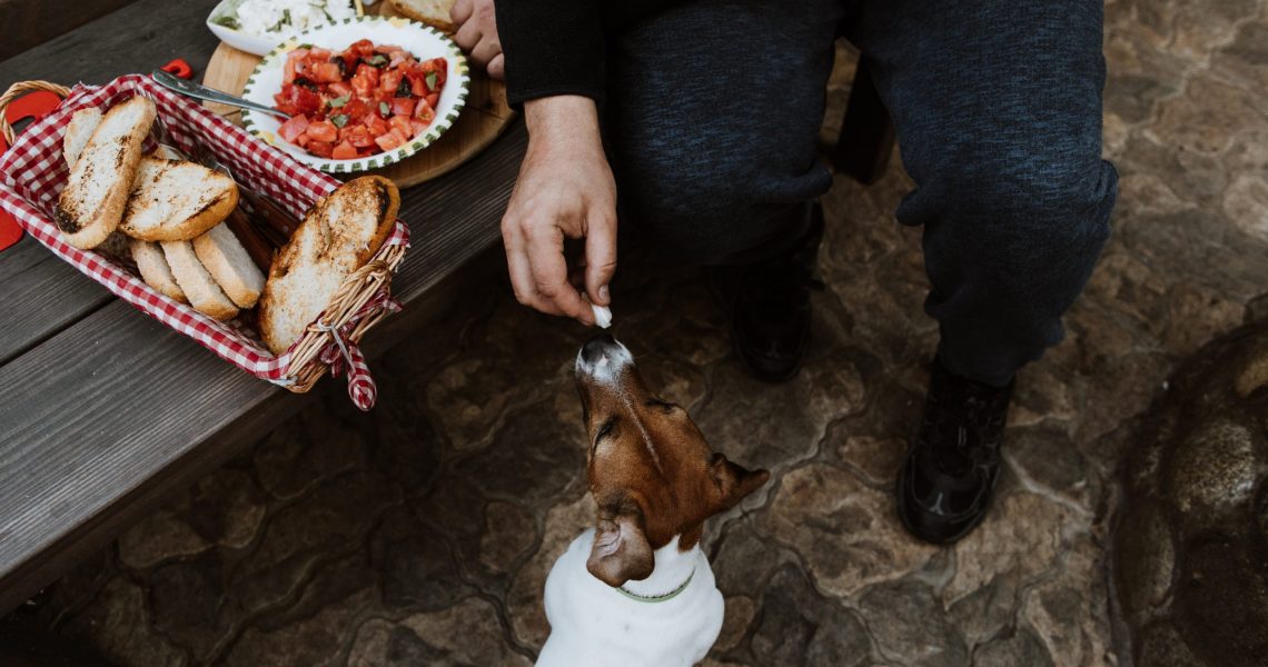 Mit Deinem Hund kannst Du ohne Bedenken Deinen Käse teilen.