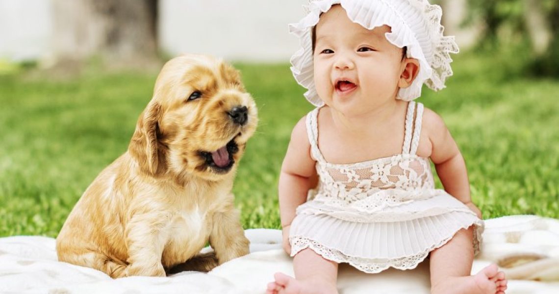 Baby und Hund haben Spaß.