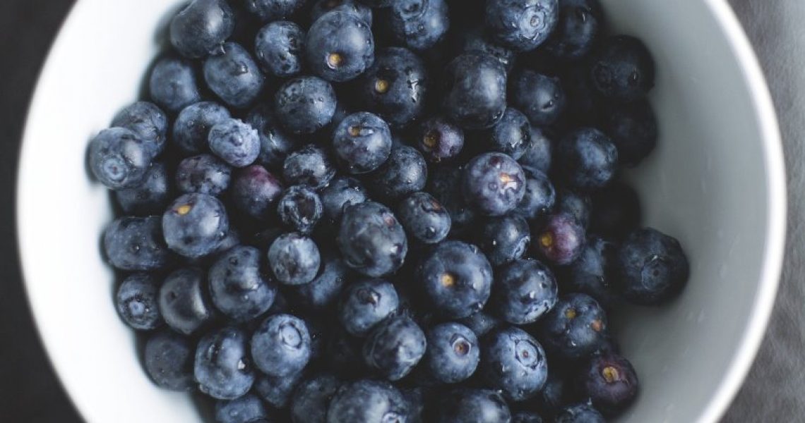 essen hunde heidelbeeren