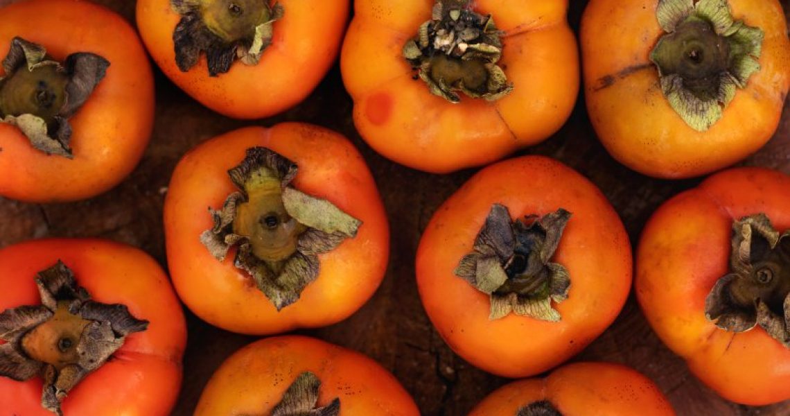 dürfen-Hunde-Kakis-essen