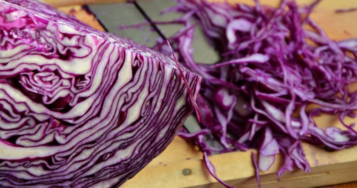 Dürfen Hunde Rotkohl essen?