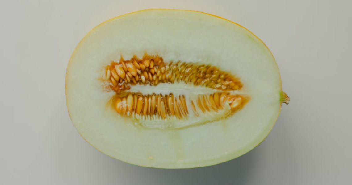 honigmelone-geschnitten