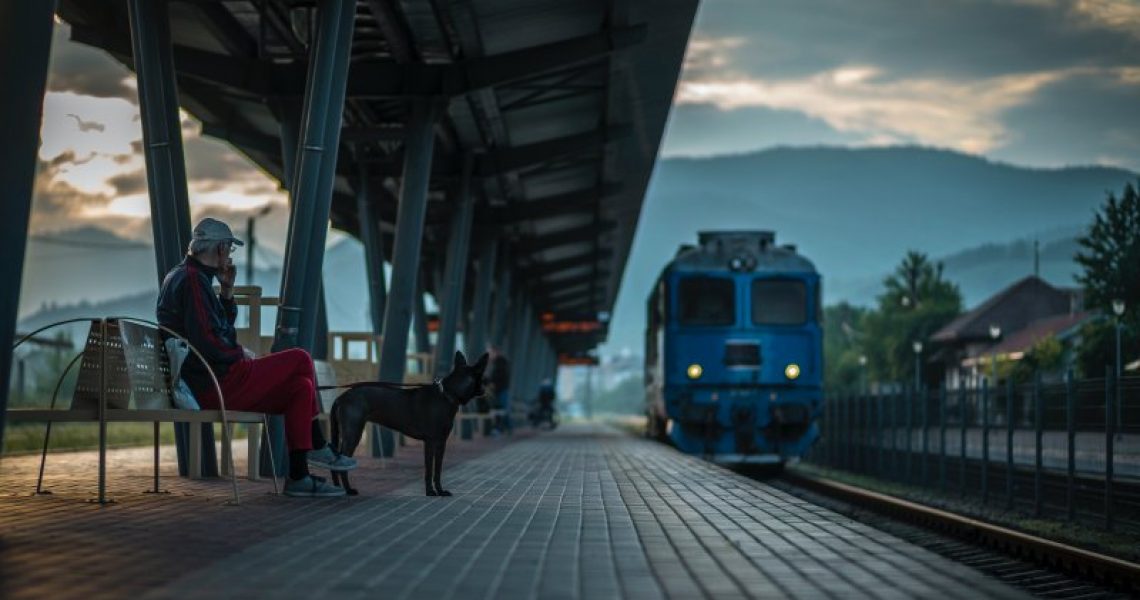 Hund an Bahnhof