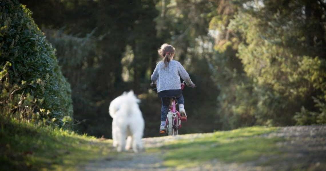 Kind mit Hund am Fahrrad im Wald