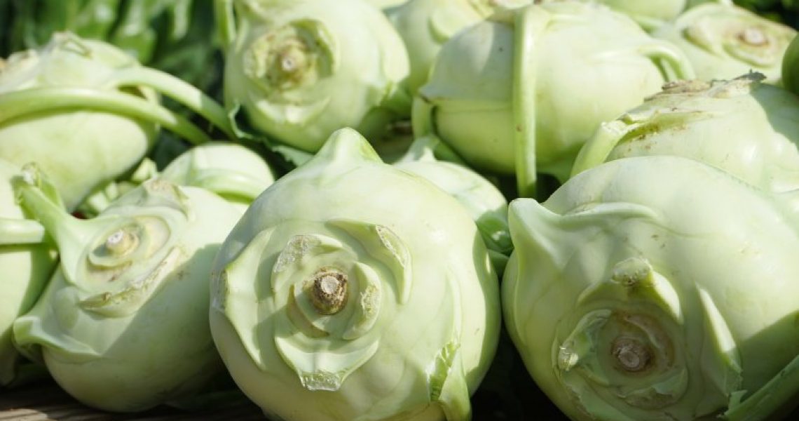 Kohlrabi